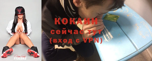 прущие грибы Липки