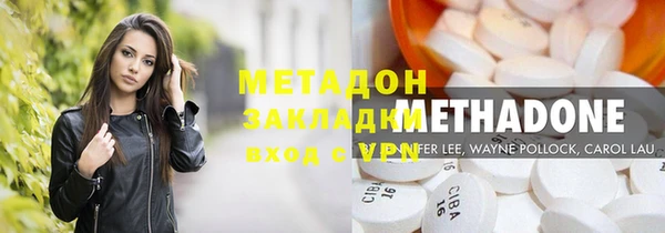 прущие грибы Липки