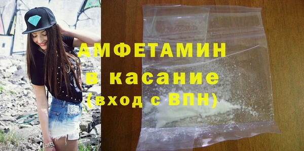 индика Новочеркасск