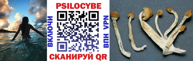 Галлюциногенные грибы ЛСД  площадка состав  Тында 